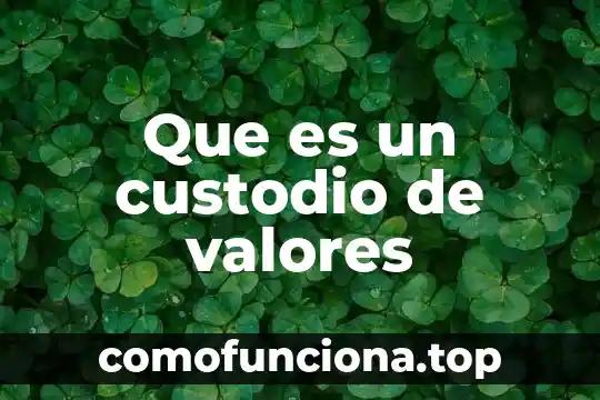 Qué es un análisis de valores penales 7 Que es un custodio de valores