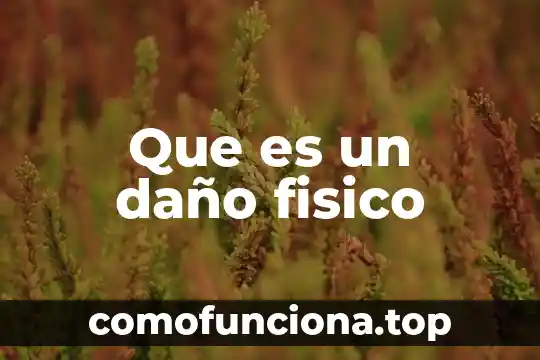 Qué es un principio físico 7 Que es un daño fisico