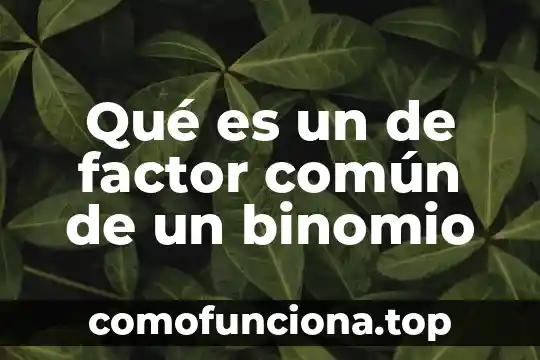 Que es binomio diferencia al cuadrado 3 Qué es un de factor común de un binomio