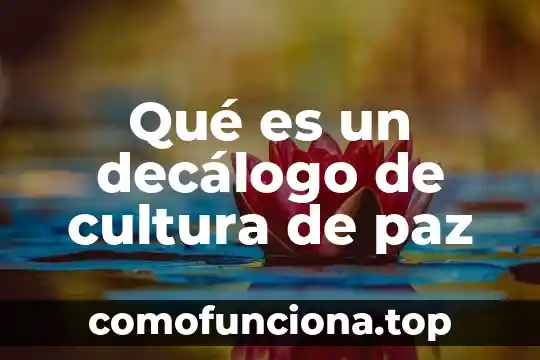 Que es el aire primario 7 Qué es un decálogo de cultura de paz