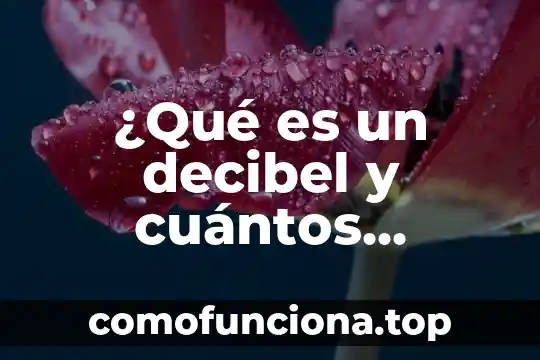 Que es idea original significado 6 ¿Qué es un decibel y cuántos toleran las personas?