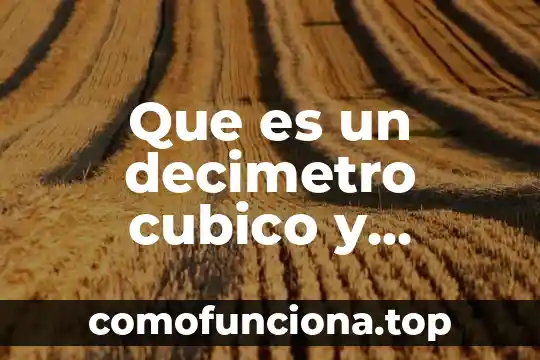 Conocimiento geográfico que es 5 Que es un decimetro cubico y ejemplos