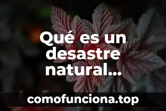 Que es un temblor desastre natural 8 Qué es un desastre natural definición para niños