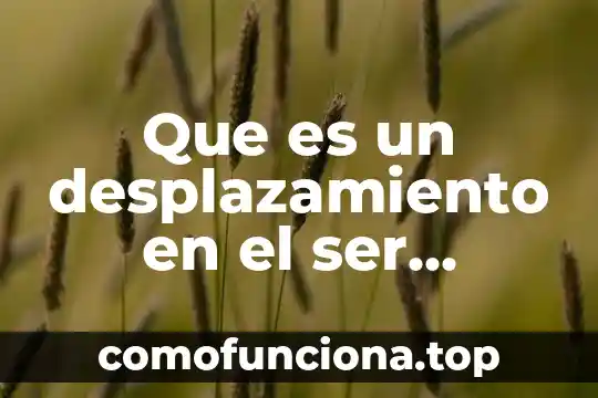 Que es lo mas ruco de ser papa 5 Que es un desplazamiento en el ser humano
