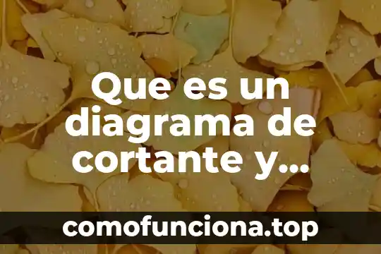 Que es el momento flexionante fuerza cortante 4 Que es un diagrama de cortante y flexionante