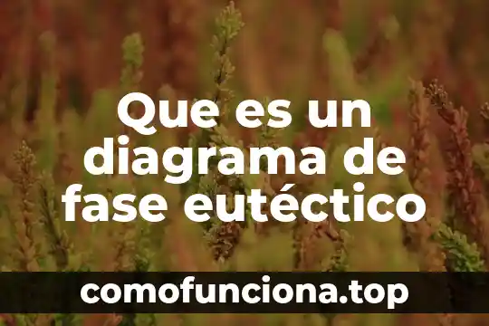 Que es el diagrama de espiral 6 Que es un diagrama de fase eutéctico