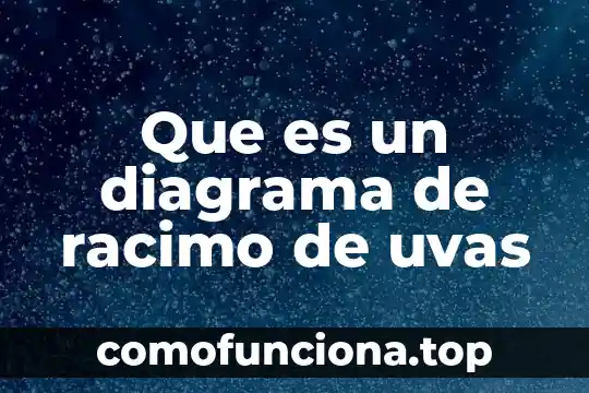 Que es un diagrama de estrella 7 Que es un diagrama de racimo de uvas