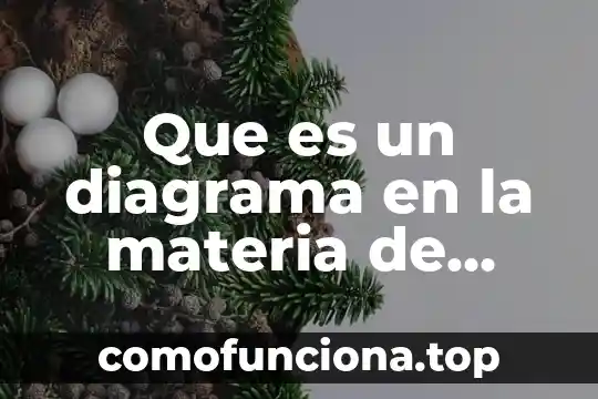 Que es lo fundamnetal en la materia y la conciencia 5 Que es un diagrama en la materia de español