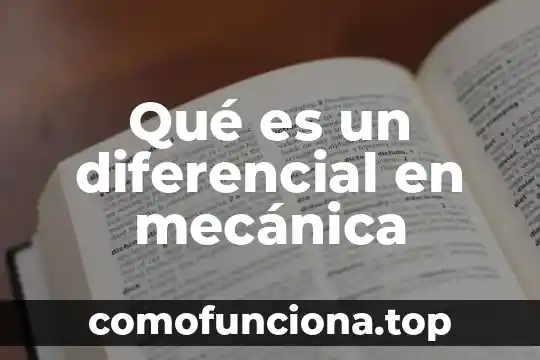 Que es objetividad y relativismo 6 Qué es un diferencial en mecánica
