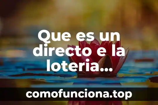 Que es el arte preincaico e inca 7 Que es un directo e la loteria naciponal