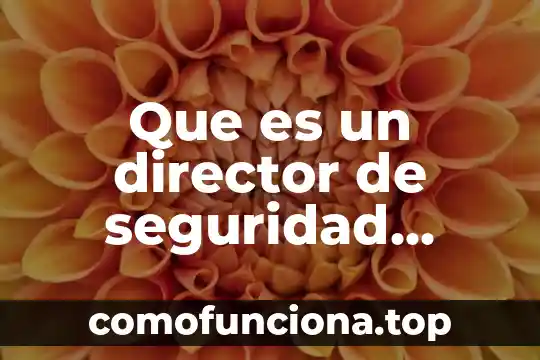 Que es una actuacion publica 4 Que es un director de seguridad publica