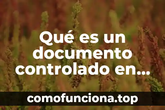 Que es calidad focos decorados 5 Qué es un documento controlado en gestión de la calidad