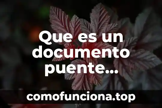 Que es la pared celular animal 6 Que es un documento puente debidamente llenado