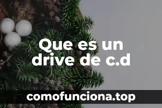 Cd en electronica que es 5 Que es un drive de c.d