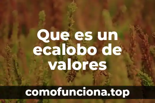 Qué es un tubular de valores en geometría 5 Que es un ecalobo de valores