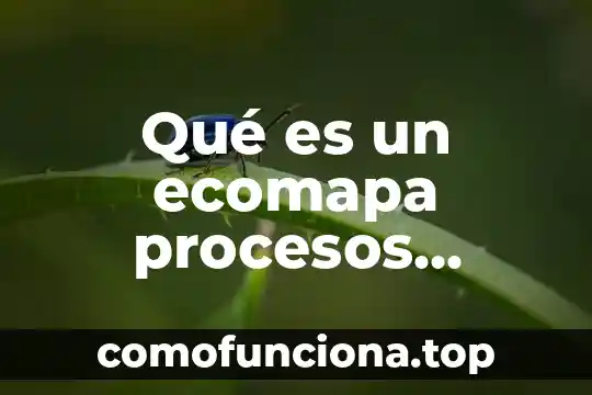 Que es los elentos de los procesos educativos 7 Qué es un ecomapa procesos industriales