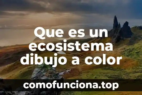 Que es un argumento con dibujo 3 Que es un ecosistema dibujo a color