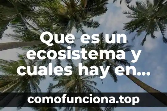 Qué es un poliedro, qué tipos hay y sus nombres 4 Que es un ecosistema y cuales hay en mexico