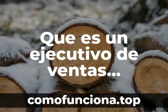 Que es ser productor ejecutivo 3 Que es un ejecutivo de ventas corporativas sears