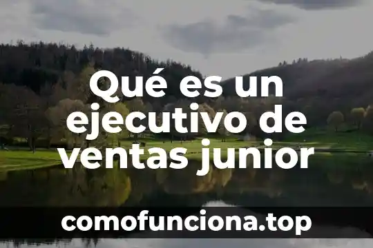 Que es ser productor ejecutivo 8 Qu茅 es un ejecutivo de ventas junior
