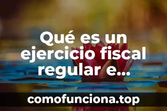 Qué es un asentamiento irregular según 5 Qué es un ejercicio fiscal regular e irregular
