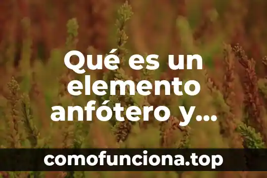 Que es el ansia elemento 4 Qué es un elemento anfótero y cómo se comporta