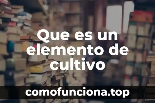 Que es la hermeneutica teoria del conocimiento 7 Que es un elemento de cultivo