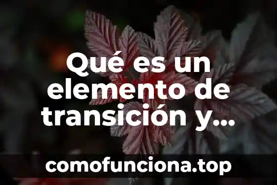 Que es la transicion del pensamiento en ciencias sociales 7 Qué es un elemento de transición y cuáles son