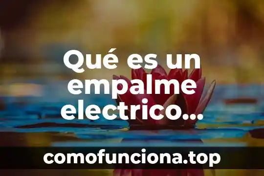 Qué es el calcio significado 3 Qué es un empalme electrico domiciliario