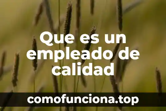 Qué es el empleado concepto jurídico 8 Que es un empleado de calidad