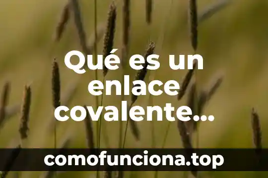 Que es pueril yahoo 3 Qué es un enlace covalente apolar Yahoo