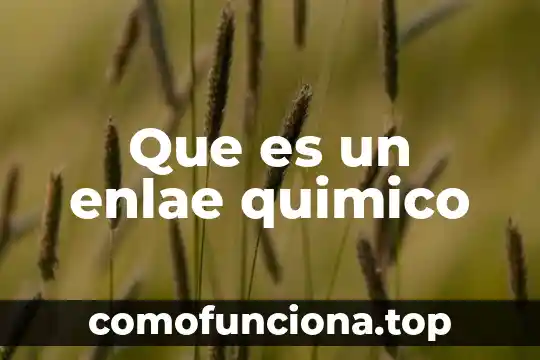 Qué es un componente químico orgánico 6 Que es un enlae quimico