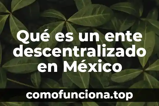 Que es la cruzada por la libertad en mexico 4 Qué es un ente descentralizado en México