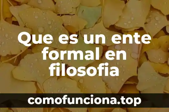 Que es grupo formal e informal 6 Que es un ente formal en filosofia