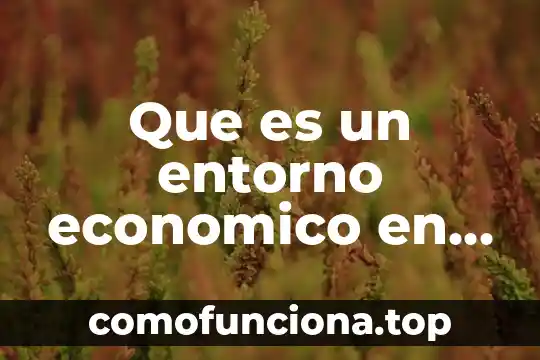 Que es la formulacion en contabilidad 8 Que es un entorno economico en contabilidad