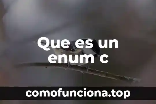 C++ que es el signo de pesos 7 Que es un enum c
