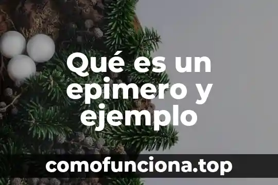 Que es un adverbo significado y ejemplo 6 Qué es un epimero y ejemplo