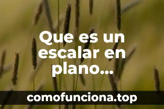 Conocimiento geográfico que es 3 Que es un escalar en plano cartesiano