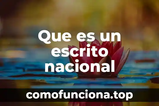 Que es una practica predominante nacional 3 Que es un escrito nacional