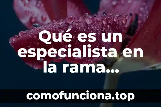 Que es el realismo como rama de conocimiento 3 Qué es un especialista en la rama petrolera