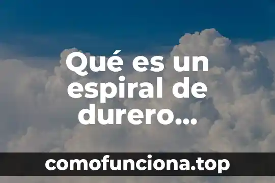 Tecnicismo matemático que es 3 Qué es un espiral de durero matemático