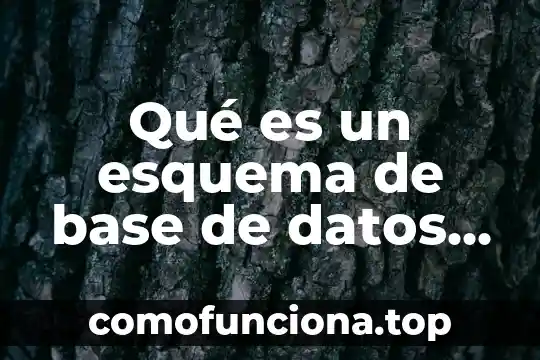 Que es y caracteristicas oracle database 3 Qué es un esquema de base de datos en oracle