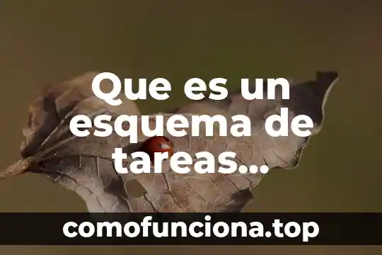 Que es un esquema de historia 4 Que es un esquema de tareas ejemplos