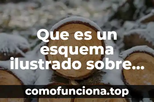 Qué es la feria de asunción en aguas calientes 5 Que es un esquema ilustrado sobre aguas aceanicas