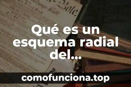 Que es un esquema de historia 8 Qué es un esquema radial del neoliberalismo en México