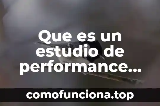 Que es el servidores web 8 Que es un estudio de performance en servidores linux