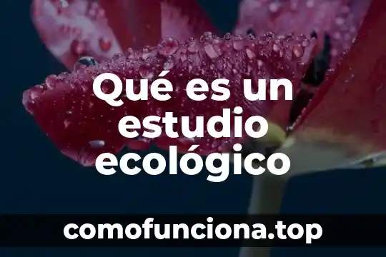 Que es incoherente significado de diccionario 3 Qué es un estudio ecológico