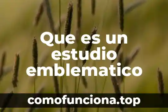 Significado de que es una gia de estudio 5 Que es un estudio emblematico