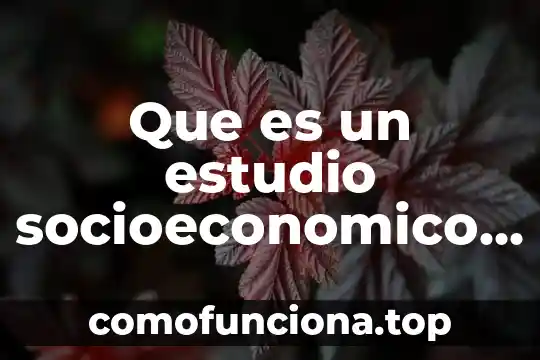 Que es el nivel socioeconómico de un pais 6 Que es un estudio socioeconomico en la salud
