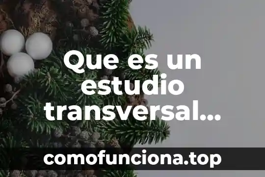 Que es el conocimiento descriptivo 4 Que es un estudio transversal descriptivo
